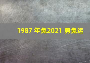 1987 年兔2021 男兔运